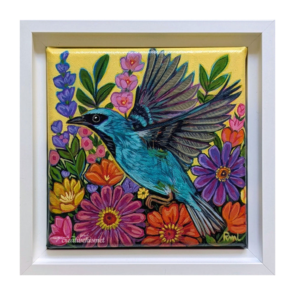 Blue Dacnis in Flight - 6 x 6 Framed Original Art