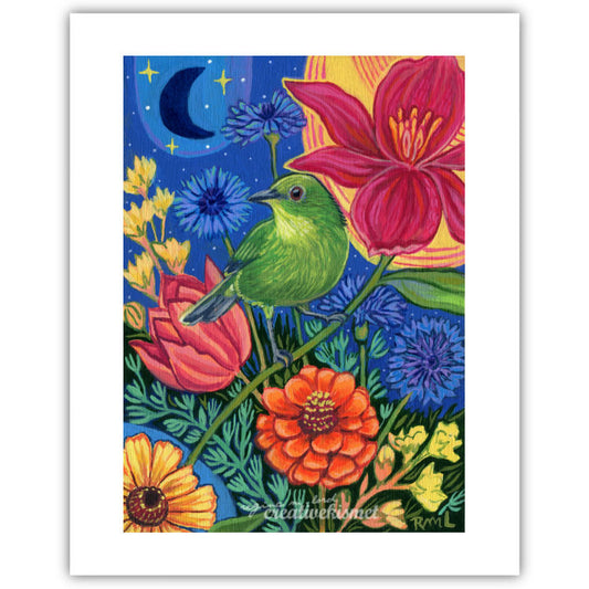 Green Honeycreeper - Art Print