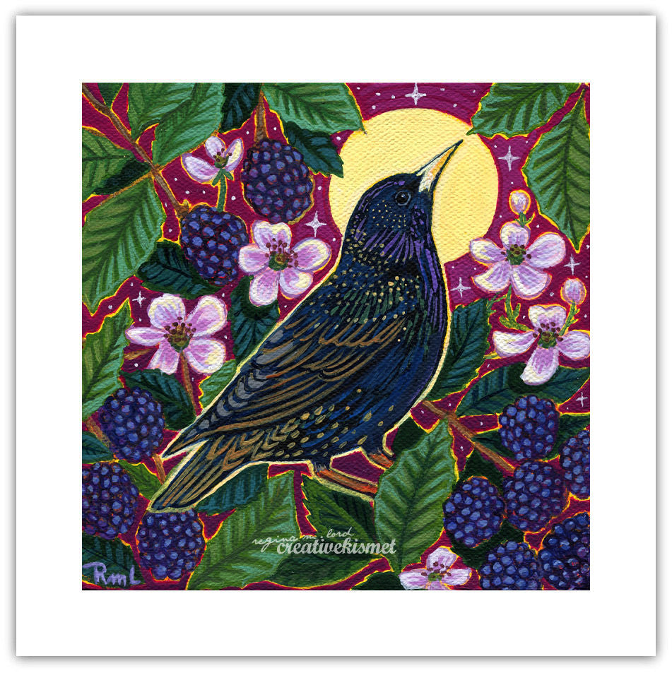 Starling with Blackberries - 8x8 Art Print