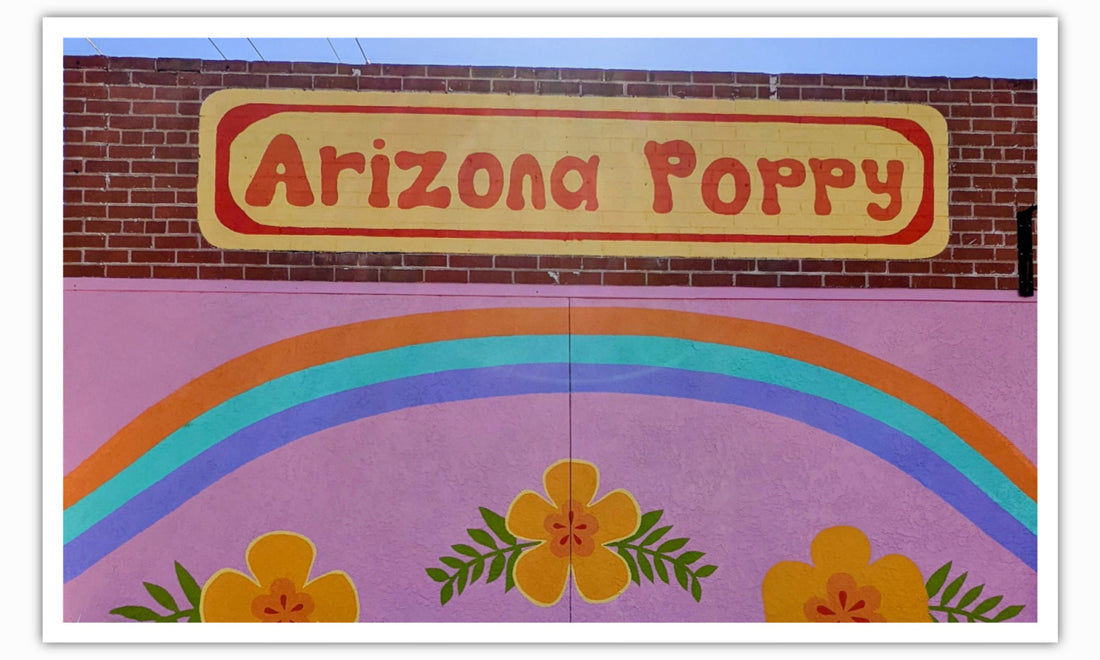 Creative Kismet at Arizona Poppy Shop Tucson