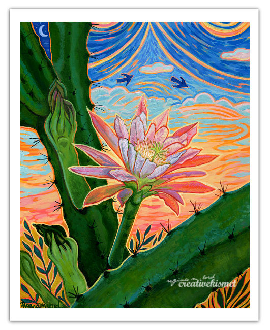 Cereus Sunset - Art Print