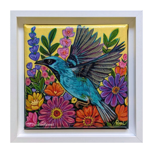 Blue Dacnis in Flight - 6 x 6 Framed Original Art