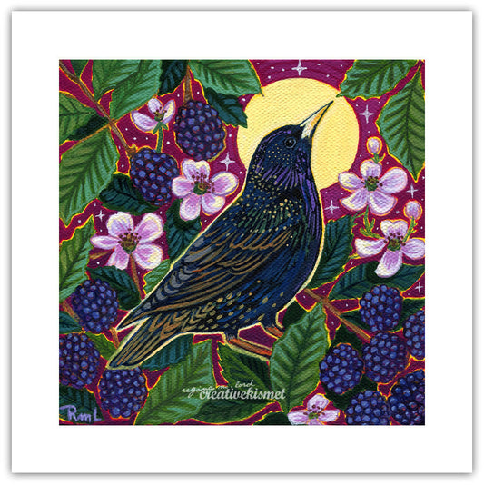 Starling with Blackberries - 8x8 Art Print