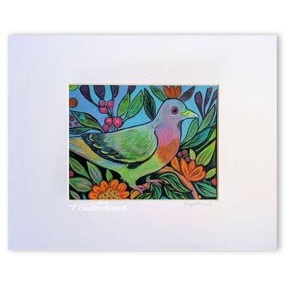 Pink-necked Green Pigeon- 8 x 10 Matted Original Painting