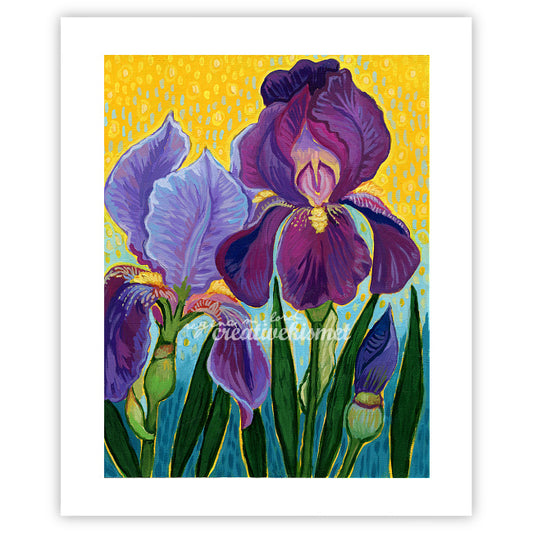Iris - Art Print