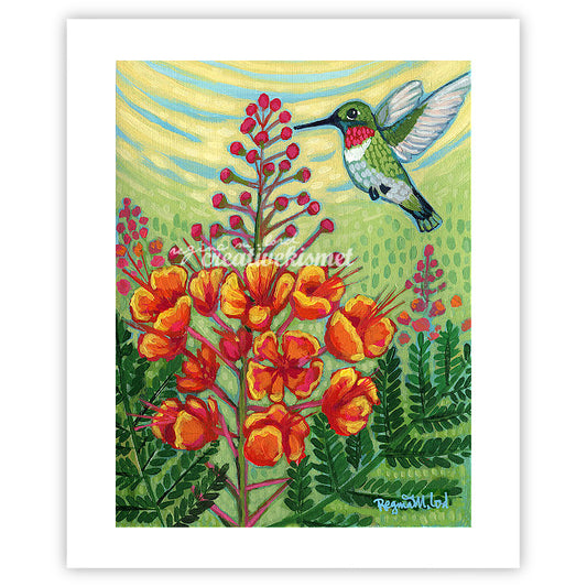 Mexican Bird of Paradise - Art Print